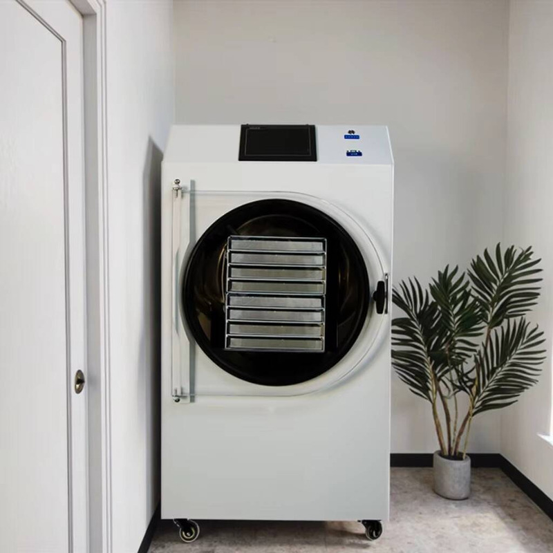 Automatic PLC-Controlled Dryin - Dried Fruit recension och pris